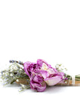 Botanical Palo Santo Smudge Bundle