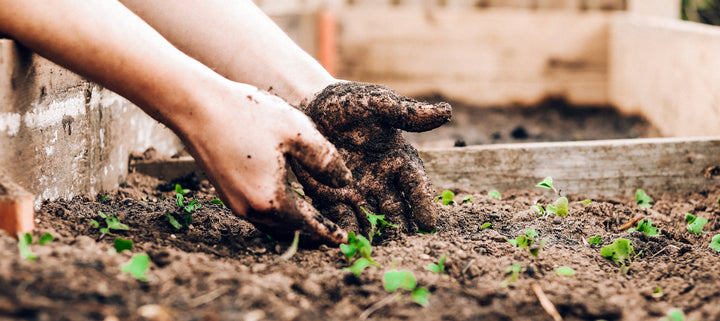 Want Healthier Skin? Try Gardening!