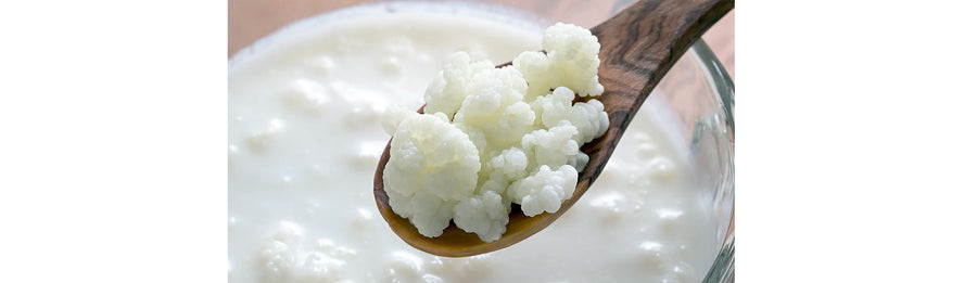 What in the World is Kefir?