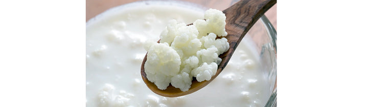 Kefir: Ancient Fermented Superfood for Gut Health and Skin