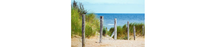 Finding Peace in the Hamptons: Nature, Sea & Stillness